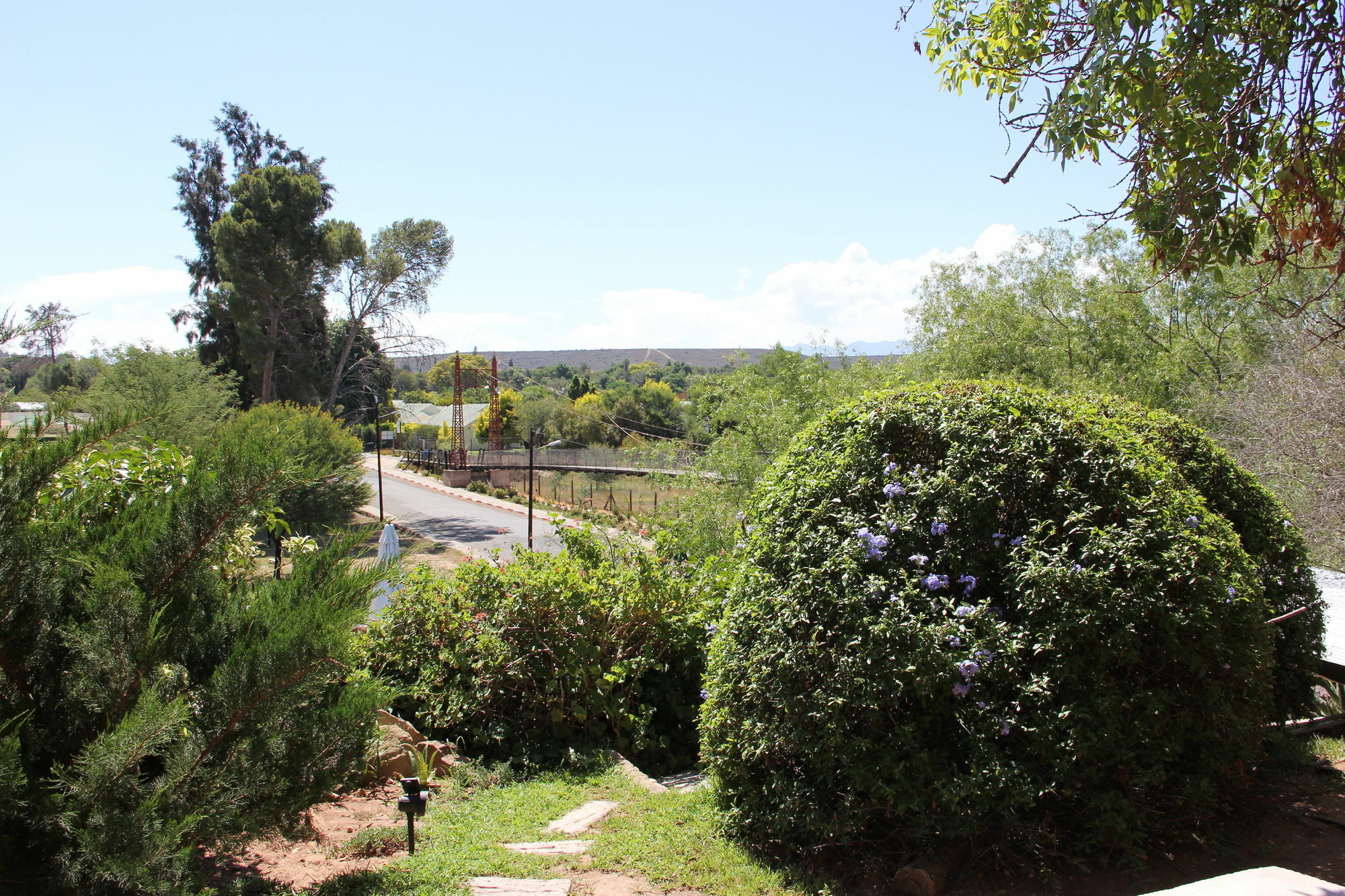 Gumtree Guest House Oudtshoorn Kültér fotó