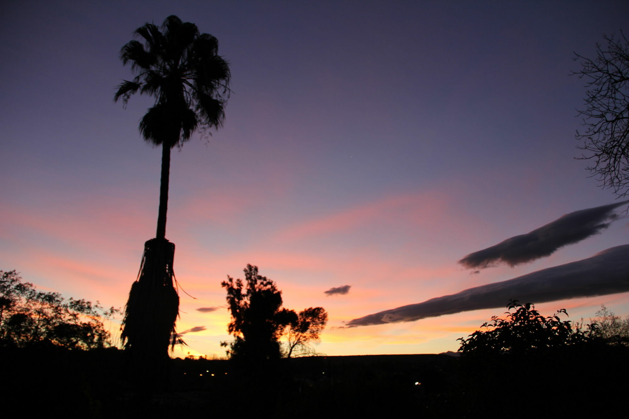 Gumtree Guest House Oudtshoorn Kültér fotó